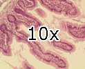 103