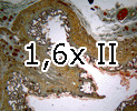 173
